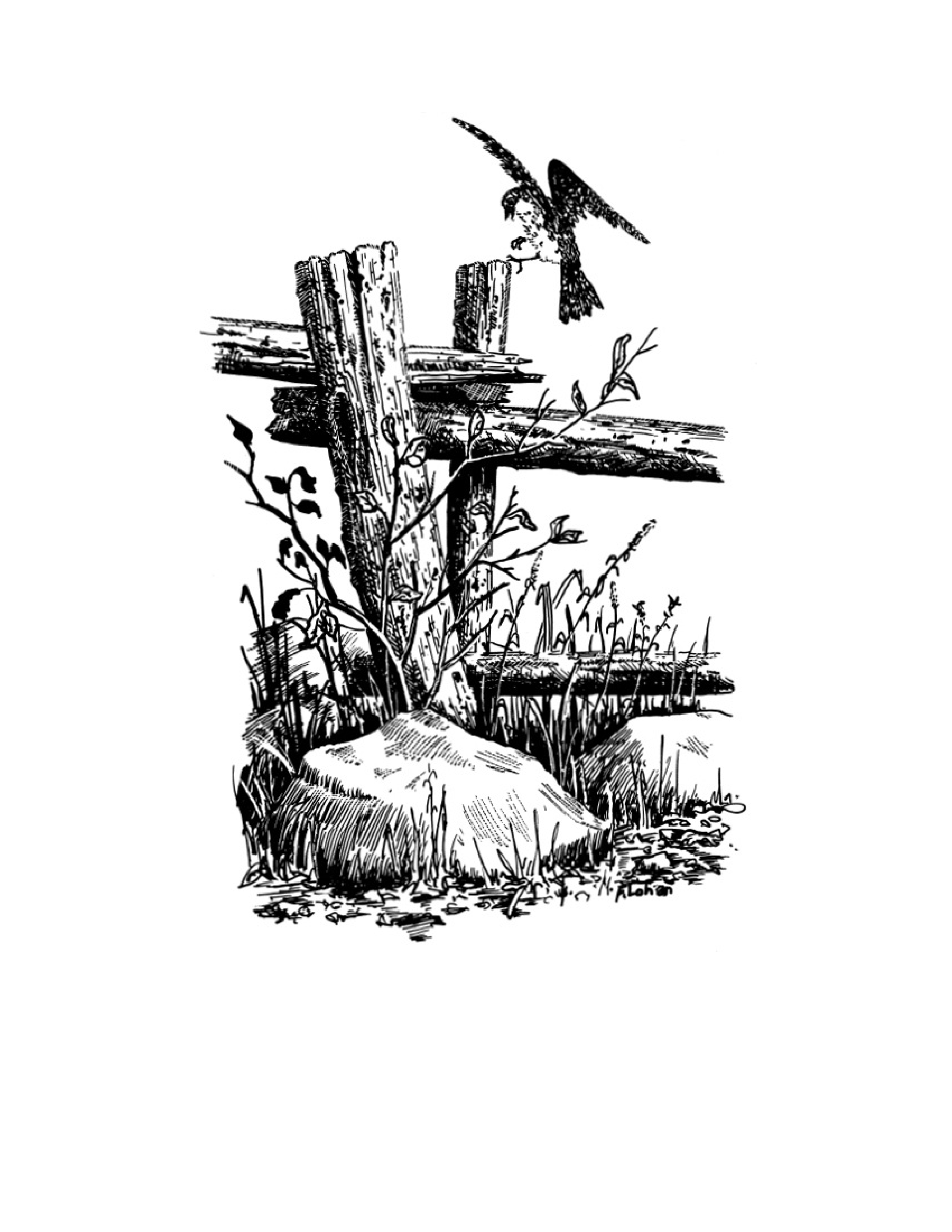 آموزش نقاشی طراحی سیاه قلم شهرری